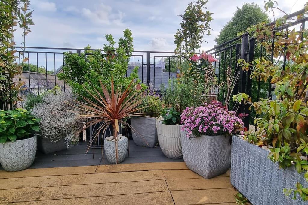 Highgate Maisonette With Roof Terrace Appartamento